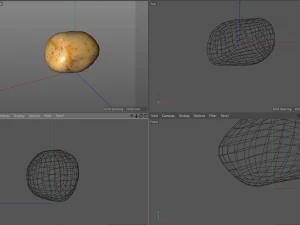 potato v1 3D Model