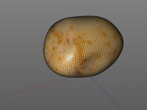 potato v1 3D 模型