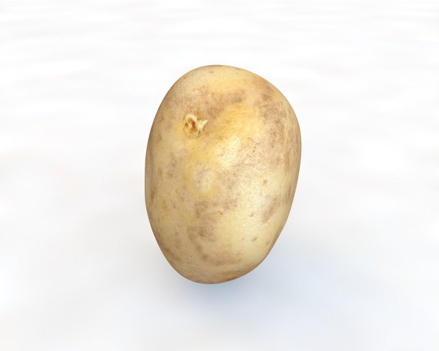 potato v2 3D Model .c4d .max .obj .3ds .fbx .stl .blend 