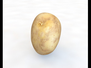 potato v2 3D Model