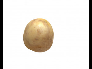 potato v2 3D Model