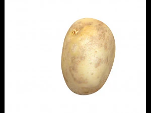 batata v2 Modelo 3D