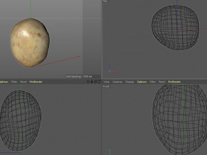 potato v2 3D Model