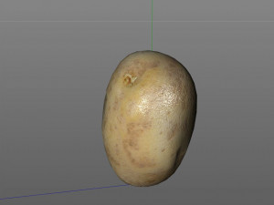 potato v2 3D Model
