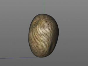 potato v2 3D Model