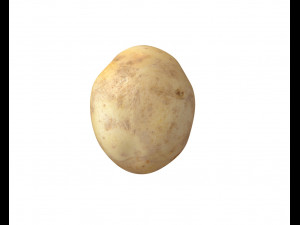 potato v2 3D Model