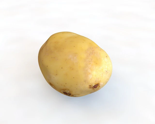 potato v3 3D Model .c4d .max .obj .3ds .fbx .stl .blend 
