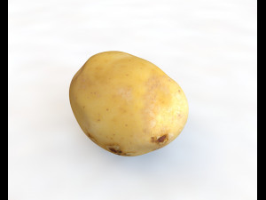 potato v3 3D मॉडल