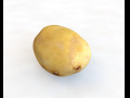 Potato v3 3D Model