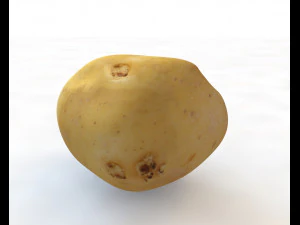 potato v3 3D Model