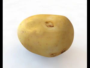 potato v3 3D Model