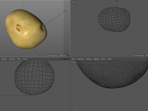 potato v3 3D 模型