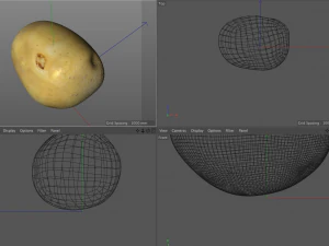 potato v3 3D Model