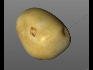 potato v3 3D Model