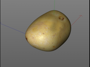 potato v3 3D 模型
