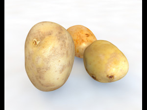 potato three type 3D Model