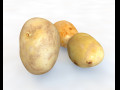 Potato three type 3D Model