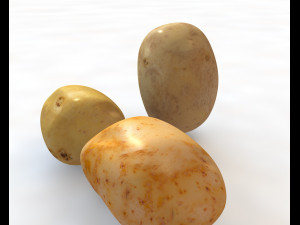 potato three type 3D Model