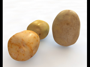potato three type 3D Model