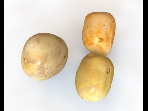 potato three type 3D Model