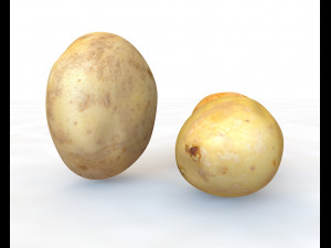 potato three type 3D Model