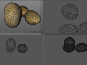 potato three type 3D Model