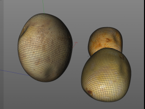 potato three type 3D Model