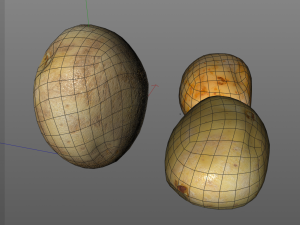 potato three type 3D Model