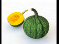 Pumpkin Green 3D Model