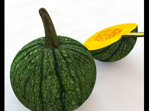 pumpkin green 3D Model