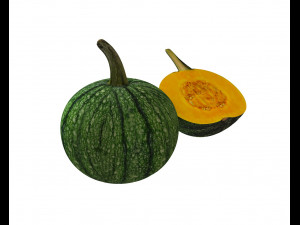 pumpkin green Model 3D