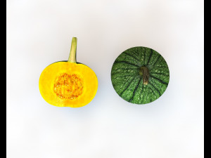 pumpkin green Model 3D