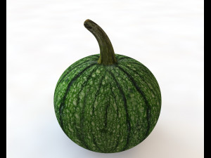 pumpkin green Model 3D