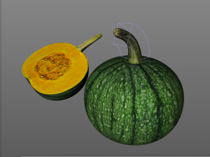 pumpkin green Model 3D