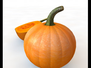 pumpkin orange 3D Model