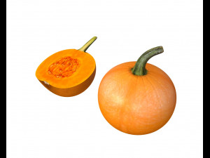 pumpkin orange Modelo 3D