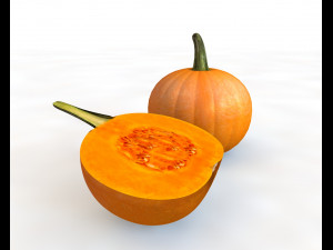 pumpkin orange Modelo 3D