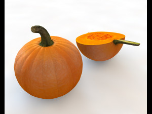 pumpkin orange Modelo 3D