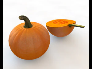 pumpkin orange 3D Model
