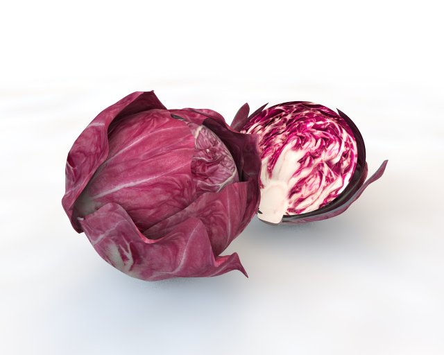 radicchio rounded cabbage 3D Model .c4d .max .obj .3ds .fbx .stl .blend 
