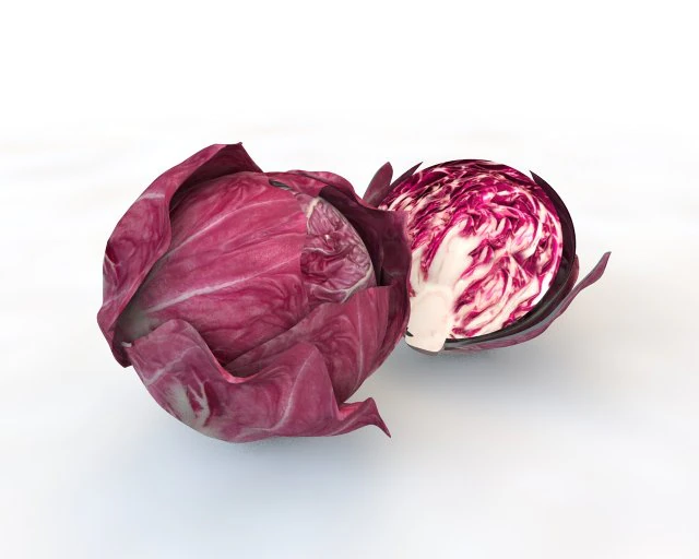 cavolo tondo al radicchio Modello 3D .c4d .max .obj .3ds .fbx .stl .blend