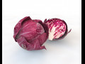 Radicchio Rounded cabbage 3D Model