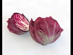 radicchio rounded cabbage 3D Model