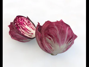 cavolo tondo al radicchio Modello 3D