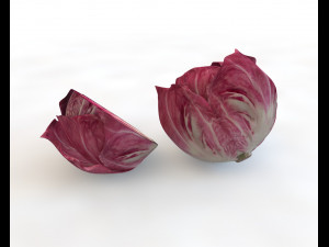 radicchio rounded cabbage 3D Model