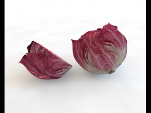 cavolo tondo al radicchio Modello 3D
