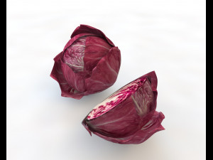 radicchio rounded cabbage 3D Model