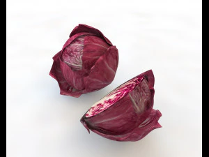 cavolo tondo al radicchio Modello 3D