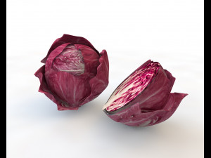 radicchio rounded cabbage 3D Model