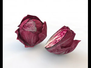 cavolo tondo al radicchio Modello 3D